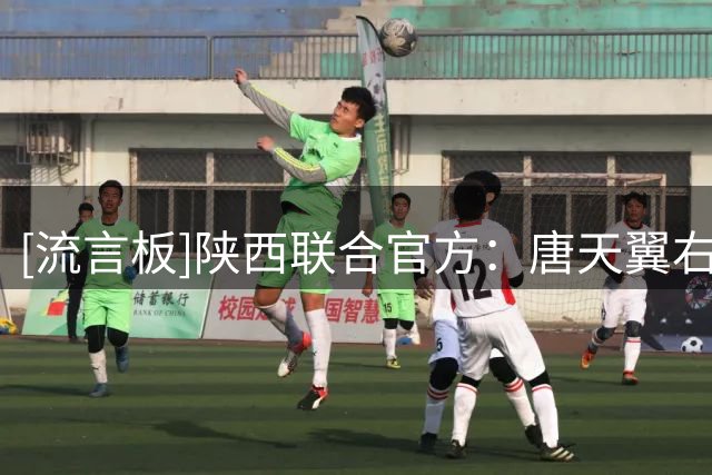 [流言板]陕西联合官方：唐天翼右侧后交叉韧带断裂，伤停10-12个月
